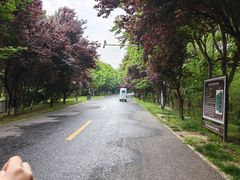 -洪泽湖古堰景区