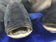 -东江海鲜酒家(艺都分店)