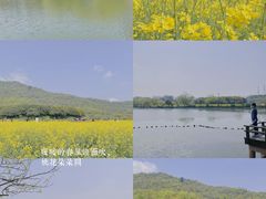 -八卦田遗址公园