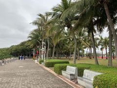 -深圳湾公园(南山区)