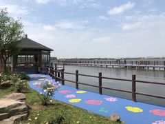 -鹅湖玫瑰文化园