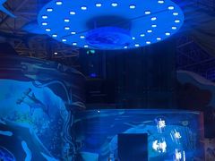 -烟台海昌鲸鲨海洋公园