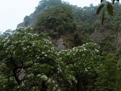 -雁荡山三折瀑景区