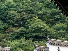 -浙西天池景区