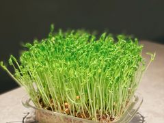 -罗勒家·养生火锅· Bistro(大望路店)