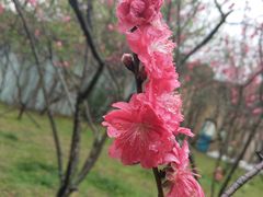 -汕头蓝水星欢乐世界