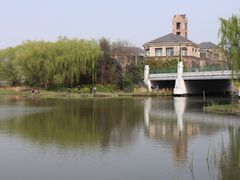 -新江湾城公园
