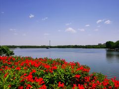 -大兴滨河森林公园