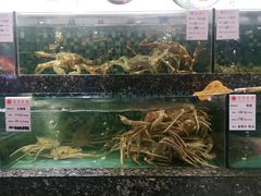 -宝燕壹号(徐汇店)