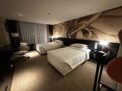 -国家会议中心大酒店