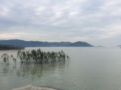 -湖山人家·湖景餐厅·特色农家菜(太湖西山店)