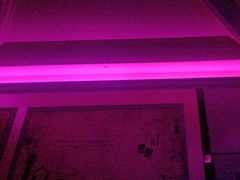 -飞歌e族KTV(雄楚1号店)