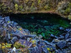 -叠溪松坪沟景区
