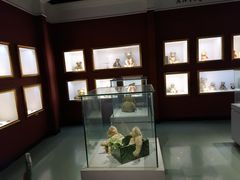 -成都泰迪熊博物馆