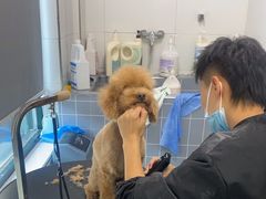 -宠颐生动物医院·心脏科·保险定点(锦阳分院)