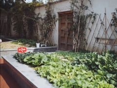 -硅谷蒙学幼儿园