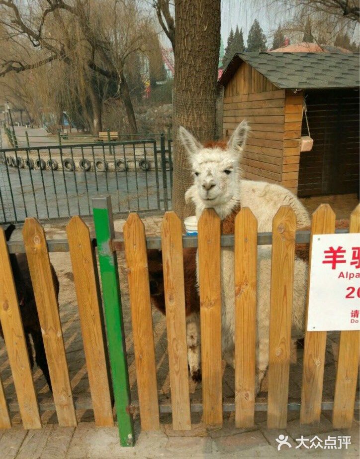 肥肠肥肠想出去玩
