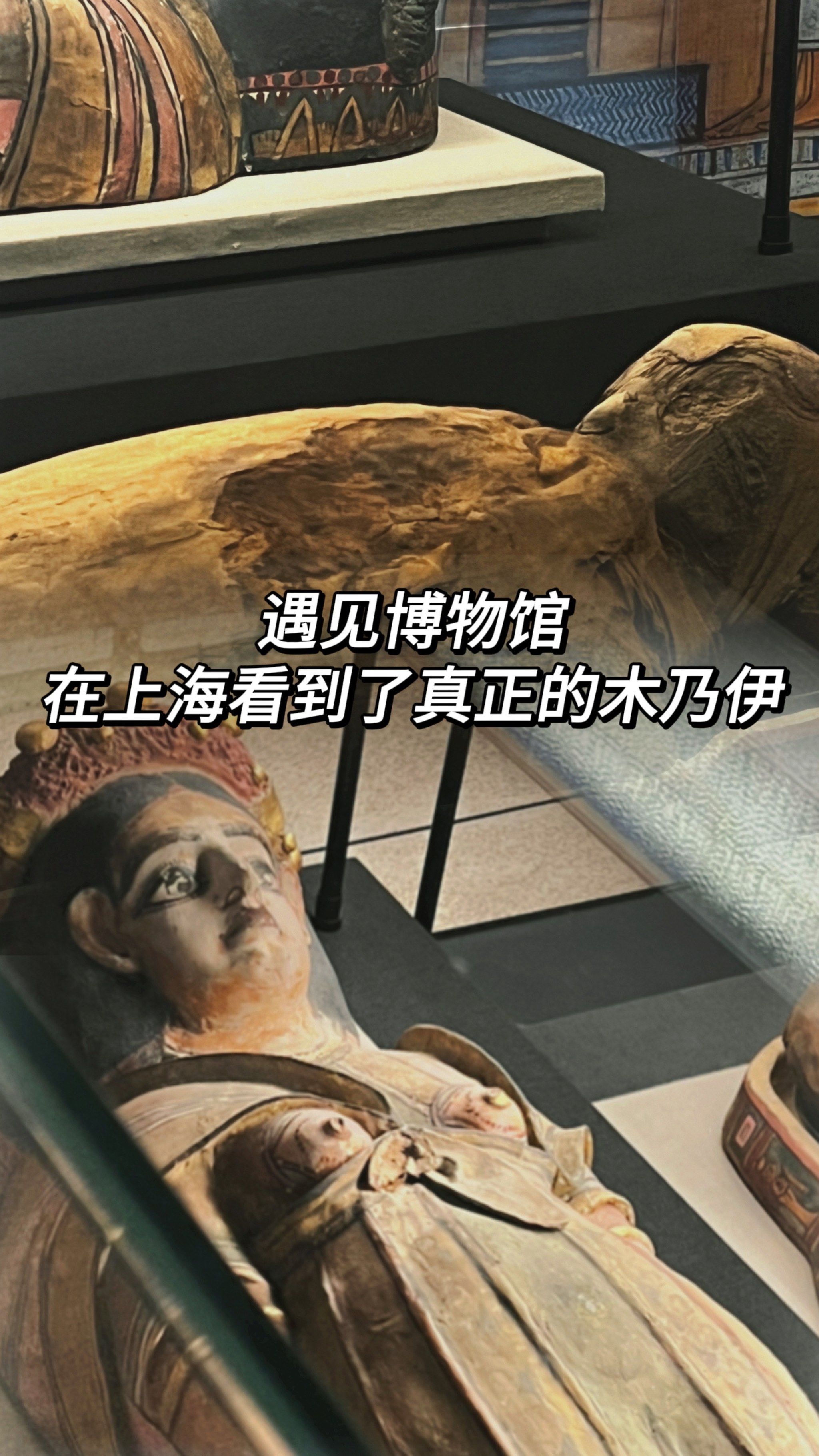在上海看到了真正的木乃伊