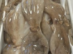 -纽牛有约自助烤肉(漳州中闽店)