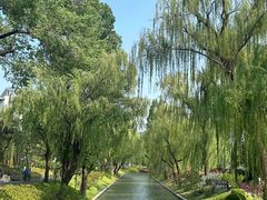 -皇家御河游(紫御湾码头)