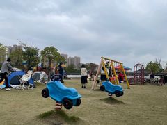 -菊园百果园