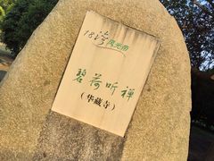 -亭林园-华藏寺