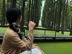 -渌洋湖湿地公园