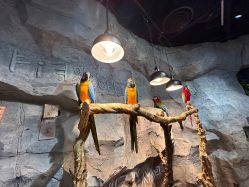 -Zoolung Zoolung动物主题公园(海信广场店)