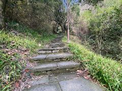 -杭州半山国家森林公园