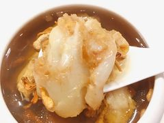 虫草花炖花胶响螺片-南园酒家(前进路店)