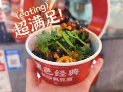 -黑色经典臭豆腐·湖南特产(坡子街店)
