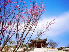 -广富林郊野公园