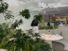 -大树餐厅(朝阳大悦城店)