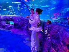 -沈阳海洋探索中心