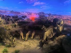 -重庆自然博物馆(新馆)