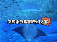 -三亚亚特兰蒂斯度假区
