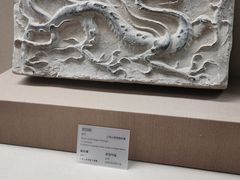 -敦煌市博物馆