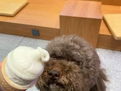 -DQ·蛋糕·冰淇淋(万风新天地店)