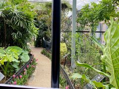-正佳雨林生态植物园