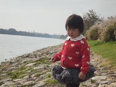 -羊山湖公园