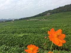 -航天无锡（738）疗养院