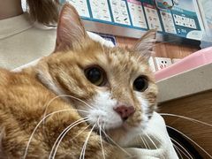 -宠福鑫动物医院(城北分院)