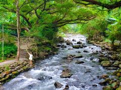 -广州市石门国家森林公园