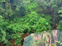 -唐师傅湘西名菜馆(武陵路店)