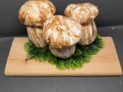 -一朵菌·野生菌探索家火锅(南亚店)