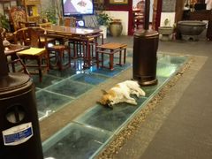 大堂-悦真雅院·四合院·清真私房菜(雍和宫店)