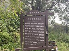 -阳台山自然风景区