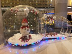 -厦门喜来登酒店