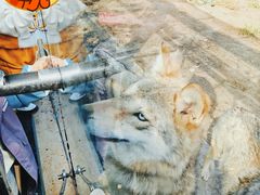 -鄂尔多斯野生动物园