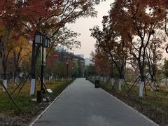 -西海子公园